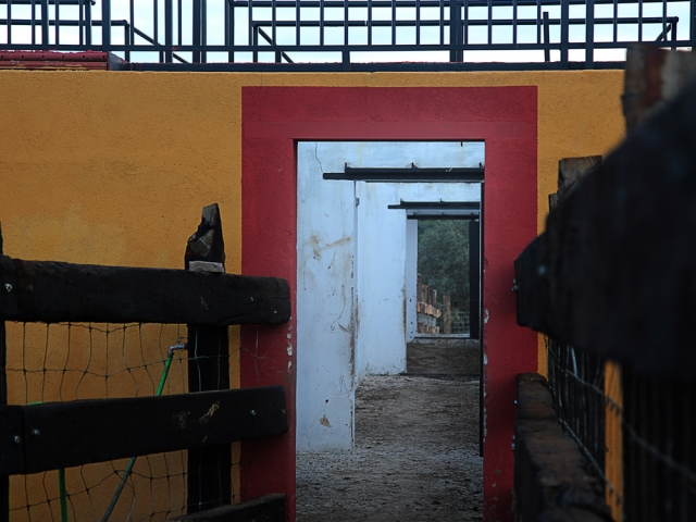 Puerta a la plaza